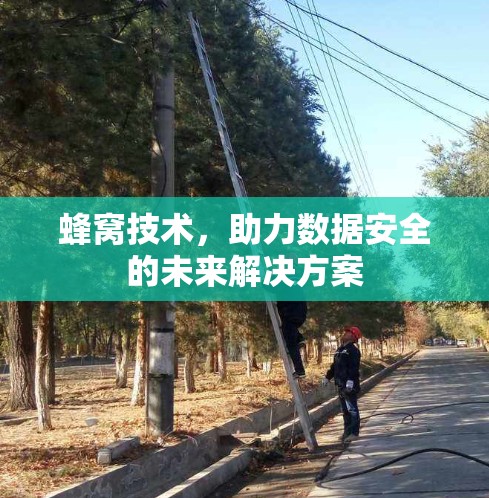 蜂窝技术，助力数据安全的未来解决方案