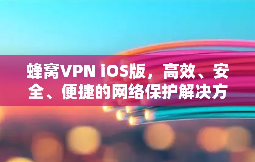 蜂窝VPN iOS版，高效、安全、便捷的网络保护解决方案