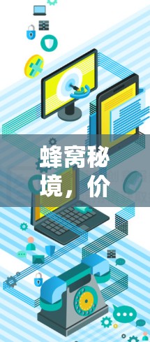 蜂窝秘境，价格低、速度快、安全全，蜂窝办公加速的秘密