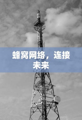 蜂窝网络，连接未来