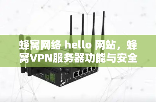 蜂窝网络 hello 网站，蜂窝VPN服务器功能与安全防护分析