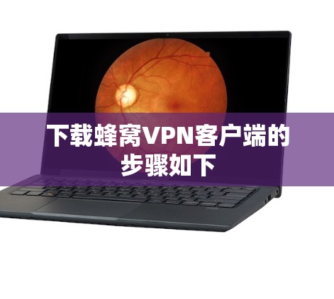 下载蜂窝VPN客户端的步骤如下